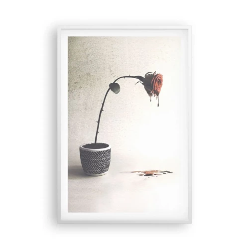 Poster in white frmae - Rosa Dolorosa - 61x91 cm