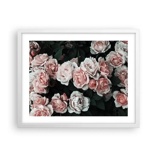 Poster in white frmae - Rose Ensemble - 50x40 cm