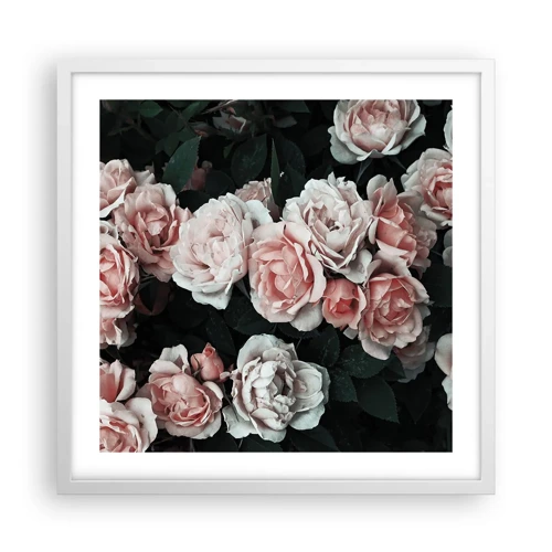 Poster in white frmae - Rose Ensemble - 50x50 cm