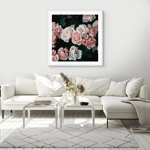 Poster in white frmae - Rose Ensemble - 50x50 cm