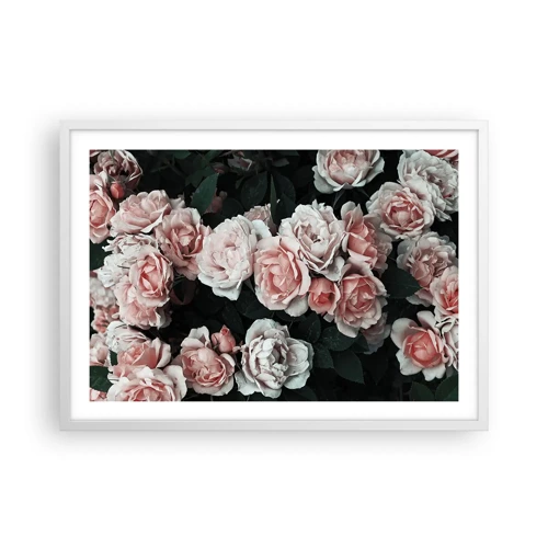 Poster in white frmae - Rose Ensemble - 70x50 cm