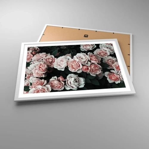 Poster in white frmae - Rose Ensemble - 70x50 cm