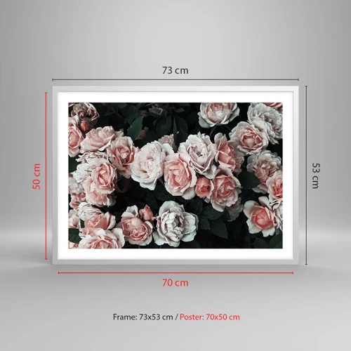 Poster in white frmae - Rose Ensemble - 70x50 cm