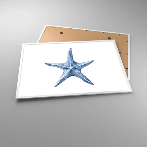 Poster in white frmae - Sea Star - 100x70 cm