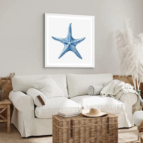 Poster in white frmae - Sea Star - 40x40 cm