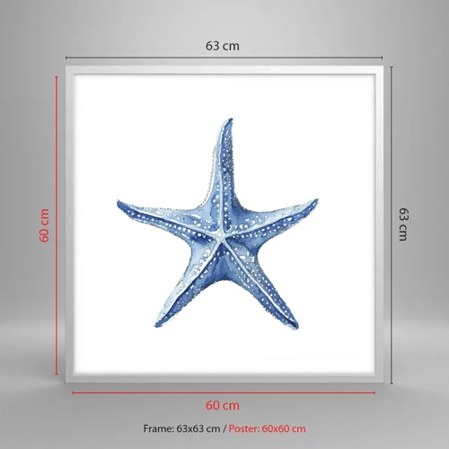 Poster in white frmae - Sea Star - 60x60 cm