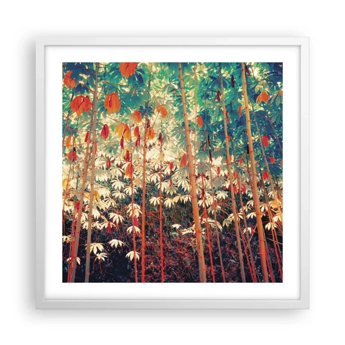 Poster in white frmae - Secret Life of Leaves - 50x50 cm