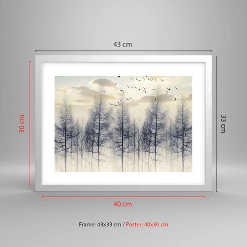 Poster in white frmae - Spirits of the Forest - 40x30 cm