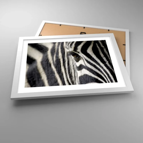 Poster in white frmae - Striped Portrait - 40x30 cm