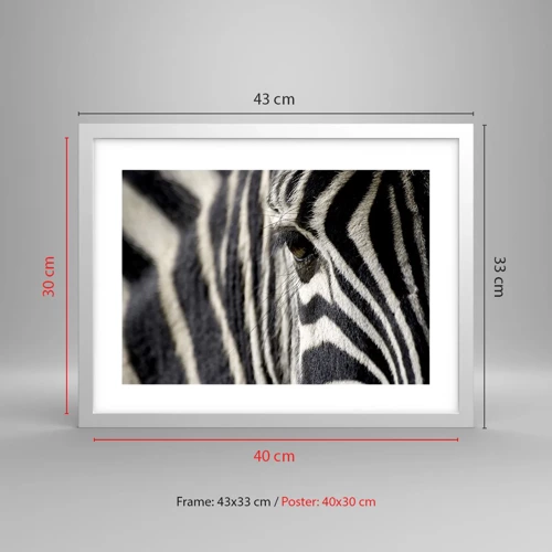 Poster in white frmae - Striped Portrait - 40x30 cm