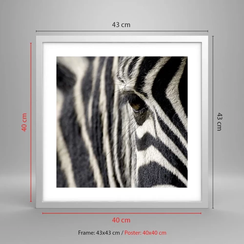 Poster in white frmae - Striped Portrait - 40x40 cm