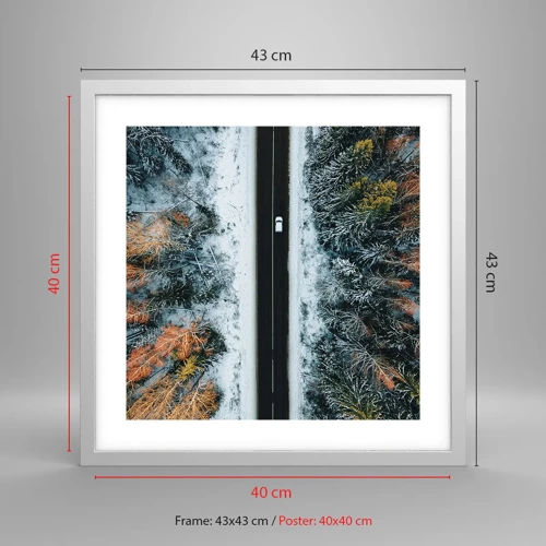 Poster in white frmae - Through a Wintery Forest - 40x40 cm