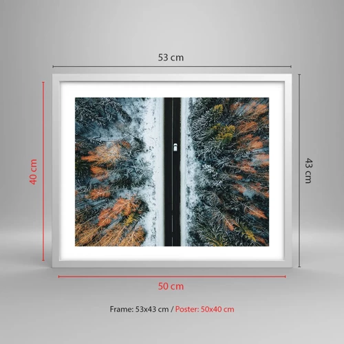 Poster in white frmae - Through a Wintery Forest - 50x40 cm