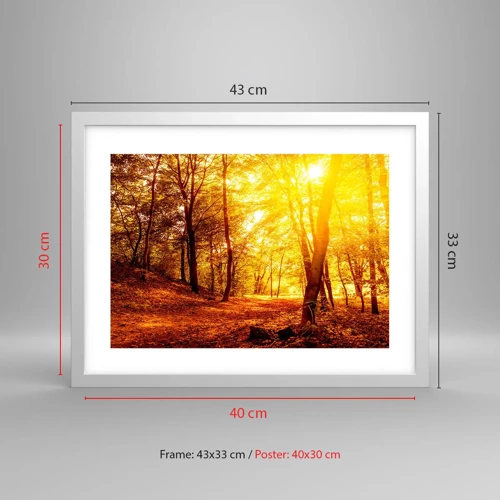 Poster in white frmae - Towards Golden Plain - 40x30 cm