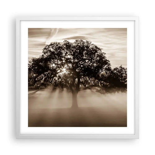 Poster in white frmae - Tree of Good Knowledge - 50x50 cm