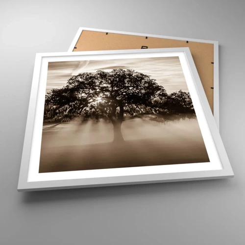 Poster in white frmae - Tree of Good Knowledge - 50x50 cm