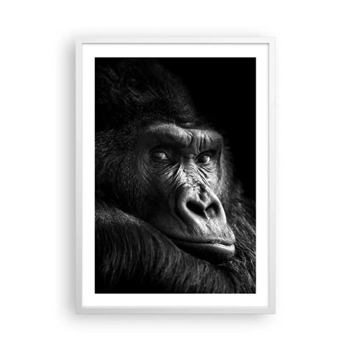 Poster in white frmae - What Are You Looking At? - 50x70 cm