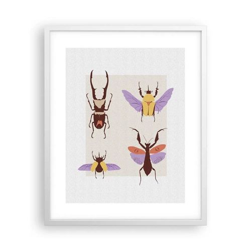 Poster in white frmae - World of Insects - 40x50 cm