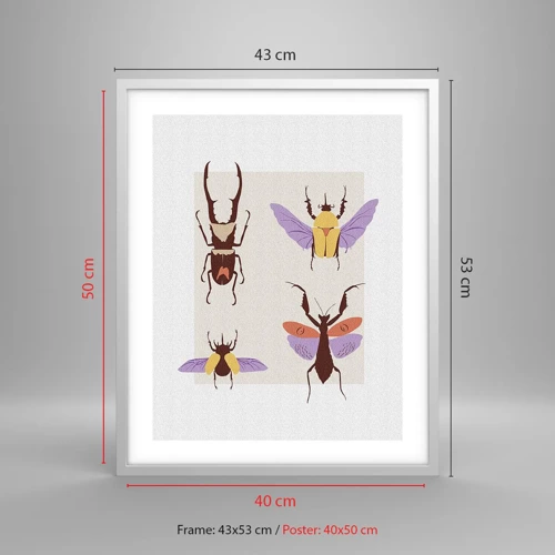 Poster in white frmae - World of Insects - 40x50 cm