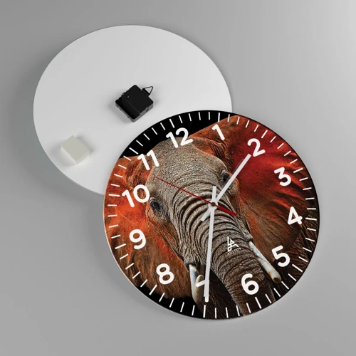 Wall clock - Clock on glass - I am Wild, and You? - 40x40 cm