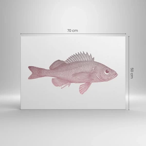 Canvas picture - Big-eyed Fish - 70x50 cm