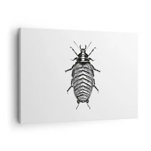 Canvas picture - What a Specimen - 70x50 cm