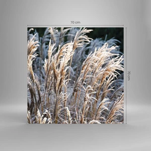 Glass picture - Decorated with Frost - 70x70 cm