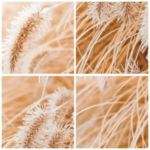 Glass picture - Golden Rustling of Grass - 100x40 cm