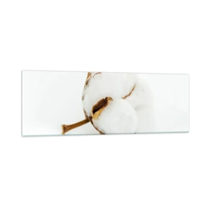 Glass picture - Soft By Nature - 90x30 cm