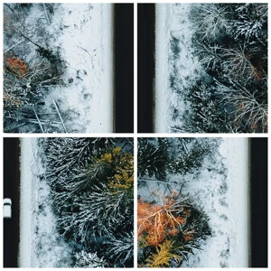 Glass picture - Through a Wintery Forest - 70x50 cm