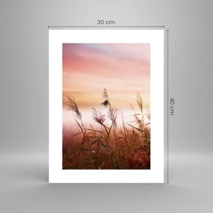 Poster - Blowing in the Wind - 30x40 cm