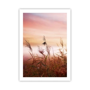 Poster - Blowing in the Wind - 50x70 cm