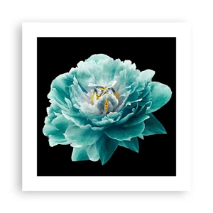 Poster - Blue and Gold Petals - 40x40 cm