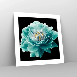 Poster - Blue and Gold Petals - 40x40 cm