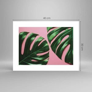 Poster - Green Rendezvous - 40x30 cm