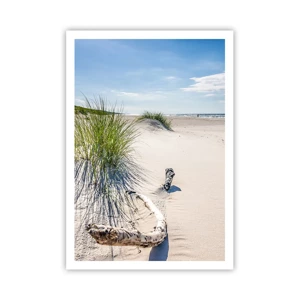 Poster - The Most Beautiful? Baltic One - 70x100 cm