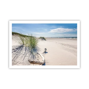 Poster - The Most Beautiful? Baltic One - 91x61 cm