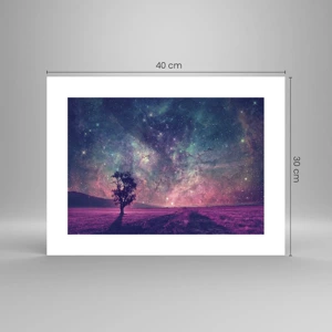 Poster - Under Magical Sky - 40x30 cm