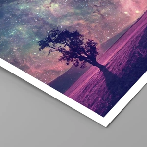 Poster - Under Magical Sky - 40x30 cm