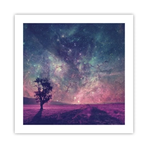 Poster - Under Magical Sky - 50x50 cm