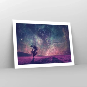 Poster - Under Magical Sky - 70x50 cm