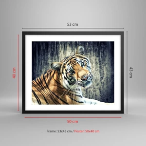 Poster in black frame - Portrait in Rays of Light - 50x40 cm