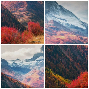 Poster in light oak frame - Alpine Autumn - 30x40 cm