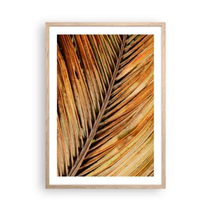 Poster in light oak frame - Coconut Gold - 50x70 cm