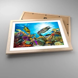 Poster in light oak frame - Coral Promenade - 40x30 cm