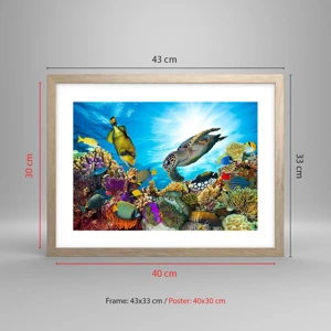 Poster in light oak frame - Coral Promenade - 40x30 cm