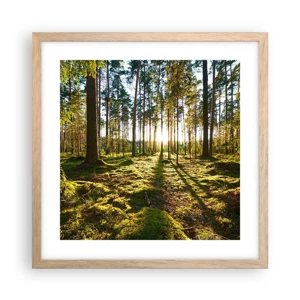 Poster in light oak frame - Deep in the Forest - 40x40 cm