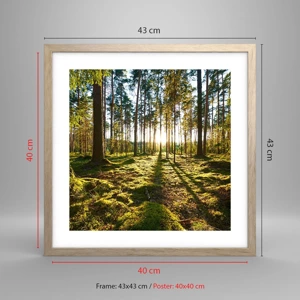 Poster in light oak frame - Deep in the Forest - 40x40 cm