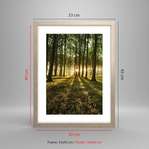 Poster in light oak frame - Photography of All Springs - 30x40 cm