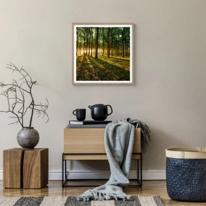 Poster in light oak frame - Photography of All Springs - 50x50 cm